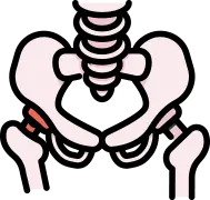 대퇴골두 무혈성 괴사 질환 안내 이미지