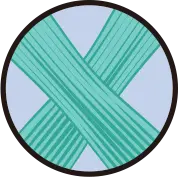 무릎 관절 중앙에서 X자로 교차하는 전방 및 후방 십자인대 해부도