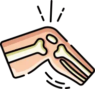 뼈의 완전한 유합 및 성숙 기간 안내