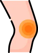 연골 재생 및 항염증 등 줄기세포 치료 효과 안내