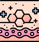 치유 촉진을 위한 줄기세포의 성장인자 분비 기능 안내