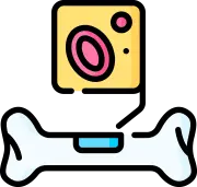 자가 골반뼈에서 골수를 안전하게 추출하는 과정 안내