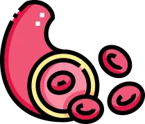 근육 이완에 따른 혈관 확장 및 혈류 개선 효과 안내