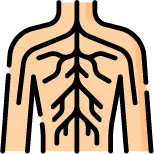 양쪽 발과 손에 대칭적으로 나타나는 다발신경병증 안내