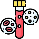 간 기능, 신장, 당뇨 확인을 위한 혈액 및 요검사