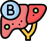 40세 대상 B형 간염 바이러스 항원 항체 검사