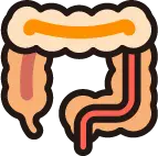 대장암 조기 발견을 위한 분변잠혈 및 대장내시경 검사