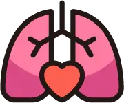 폐암 및 기관지 질환 정밀 진단을 위한 고해상도 흉부 CT 영상