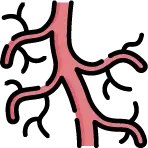 혈관 질환 및 병변 부위를 선명하게 확인하는 CT 혈관조영술 영상