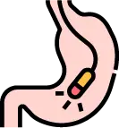 고해상도 카메라로 소화기 점막을 직접 관찰하는 정밀 내시경 검사 장면