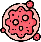 증상이 없는 초기 위암 및 대장암의 조기 발견과 진단 안내