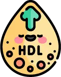 낮은 HDL 콜레스테롤 수치와 대사 건강의 관계 안내