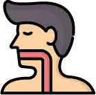 식도암 전구 단계인 바렛 식도의 점막 세포 변형 모습 안내