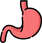 위암 발생 위험을 높이는 위 점막의 장상피화생 변성 과정 안내