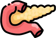 극심한 복통을 동반하는 췌장의 급성 염증 및 부종 상태