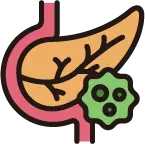 췌장 머리 또는 꼬리 부분에 발생한 악성 종양의 정밀 진단 안내