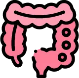 대장에서 수분이 흡수되어 대변이 형성되는 생리적 과정 안내