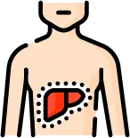 황달 및 소변 색 변화 등 간 기능 이상 시 나타나는 신체 변화 지표