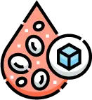 음주, 비만, 당뇨 등 간 질환을 유발하는 주요 생활 습관 및 대사 요인