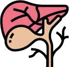 정기적인 추적 관찰이 필요한 담낭 벽의 혹인 담낭 용종 안내