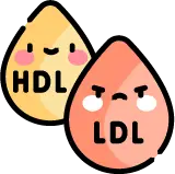 혈관을 좁게 만드는 주범인 LDL 콜레스테롤 수치 안내