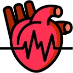 정상 맥박과 빈맥, 서맥, 불규칙한 맥박의 심전도 파형 비교