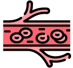 정맥 판막 이상 또는 혈전으로 인해 한쪽 다리만 붓는 하지 부종 안내