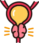 다양한 연령층에서 발생하는 전립선염 원인균 설명 일러스트