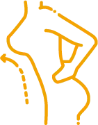 상체를 앞으로 숙여 유방의 처짐과 모양을 확인하는 자세