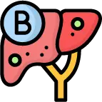 B형 간염 항체 형성 및 예방접종 안내 이미지