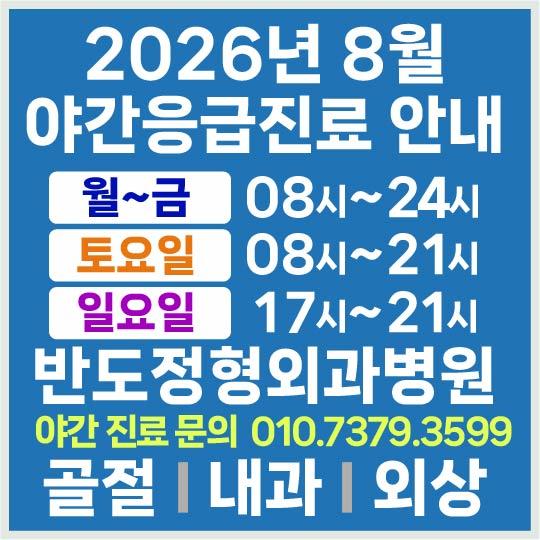 2026-08월 응급진료